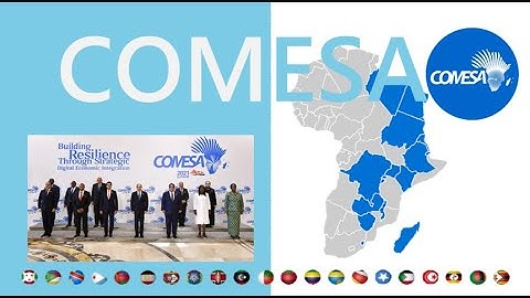 What is COMESA? The Rising Trade Bloc in Africa