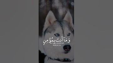وتركنا يوسف عند متاعنا فأكله الذئب وما أنت بمؤمن لنا ولو كنا صادقين | سورة يوسف | القارئ اسلام صبحي