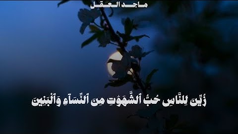 مقتطف من سورة آل عمران القارئ🎙️: ماجد العقل 🗓 ليلة ٤ رمضان 🌙 ١٤٤٦ هـ