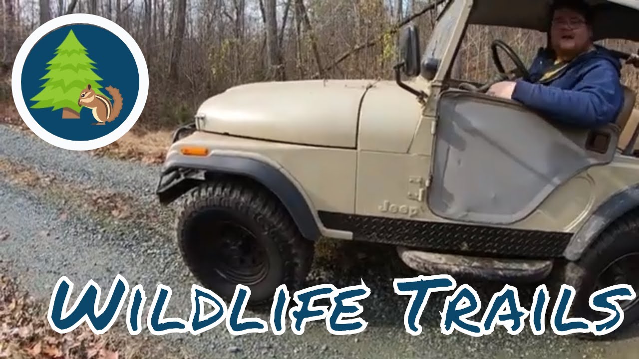 Off Roading on North Carolina Wildlife Trail in Jeep CJ5 YouTube