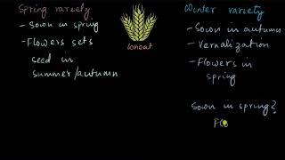 Vernalization | Plant growth and development | Biology | Khan Academy