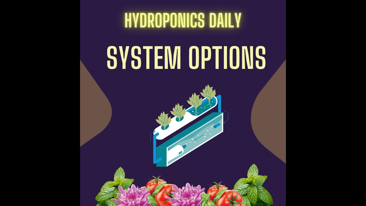 Hydroponic System Options: Recirculatory vs Run-to-Waste