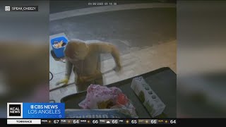 Authorities searching for suspect who burglarized Long Beach restaurants over weekend
