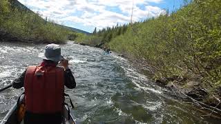 2019 06 15-23 Bonaventure River - Day 2 DSCN0832