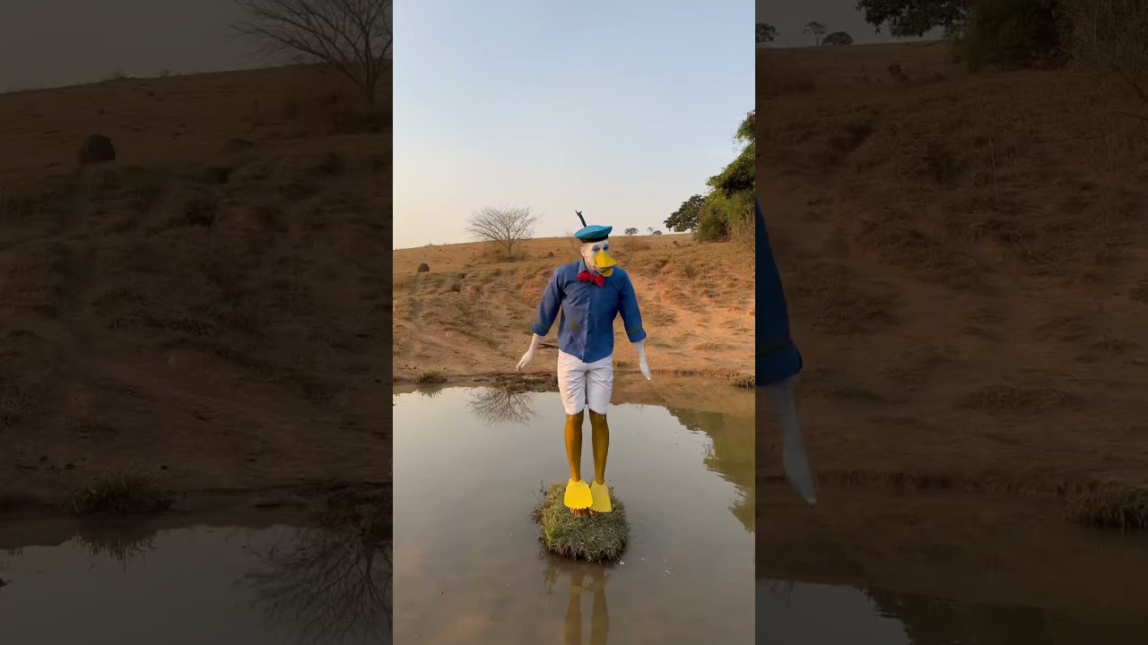 Pato Donald  😂 