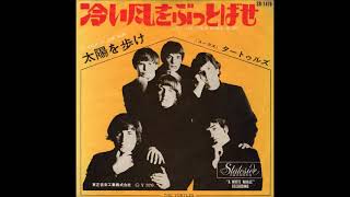 7” タートゥルズ 冷たい風をぶっとばせ / 太陽を歩け SR1476 STATESIDE /00080 ザ・タートルズ The Turtles／冷たい風をぶっとばせ Let The Cold