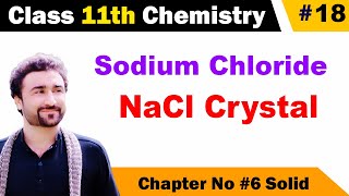 NaCl crystal structure class 11
