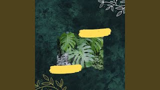 Groovy Backdrops for Echos