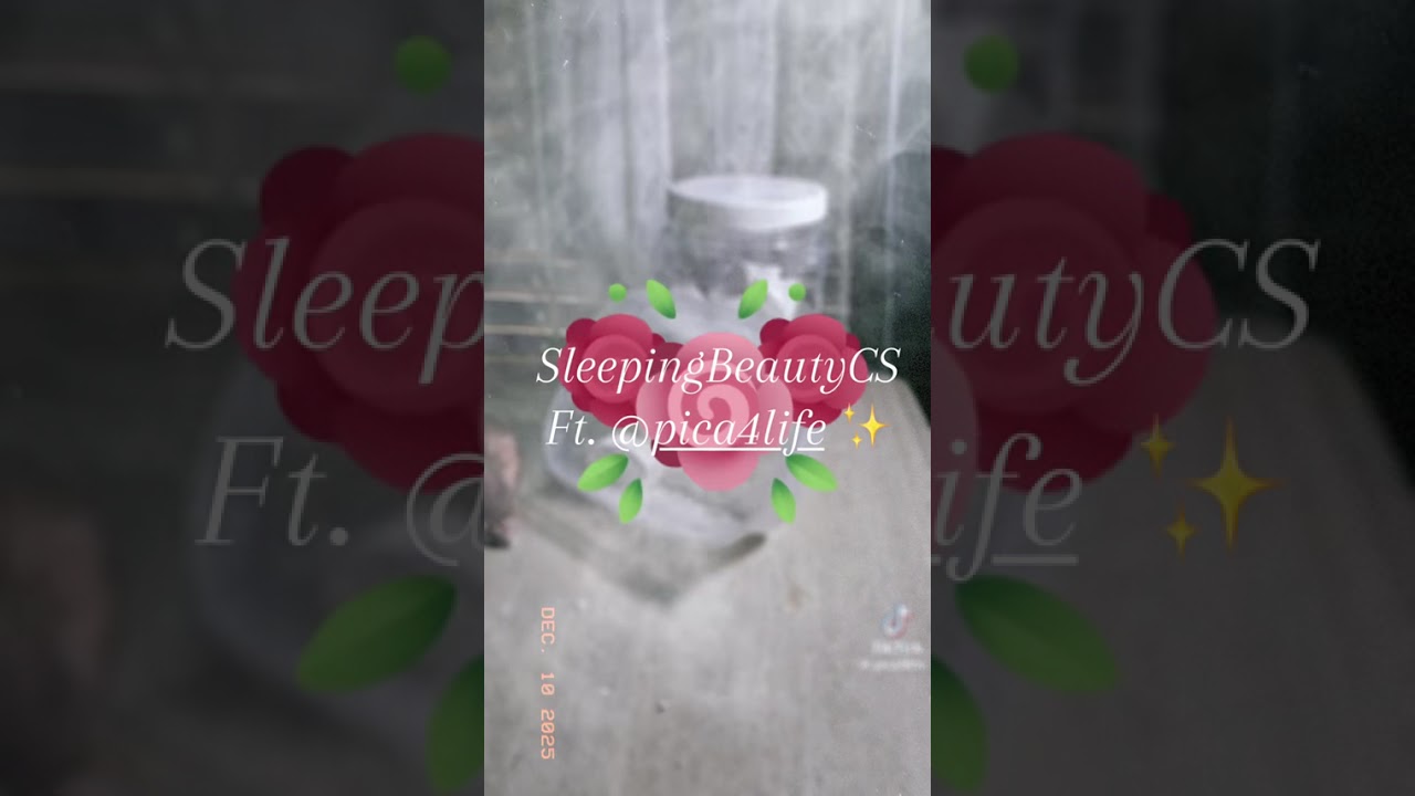 OL & Chunk Sleep Aid Part 2 (Creator Listed in Video) 