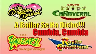 Cañaveral, Yaguaru, Angeles Azules, Rayito Colombiano, Cumbias del Recuerdo 1