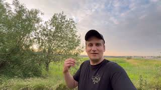 В Польщі Критична Ситуація Через Українських Біженців