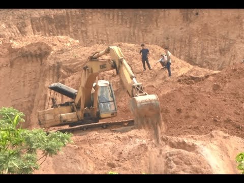 Video Tan hoang rừng đồi vì lỗ hổng trong quản lý tài nguyên... - youtube