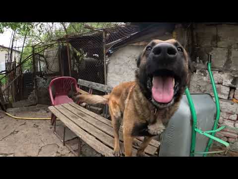 Обикновен майски ден в ежедневието на Макси