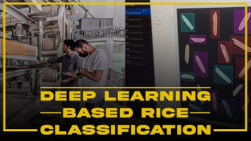 Deep Learning Based Rice Classification || ML Branch|| COMPUTER VESION & MACHINE LEARNING