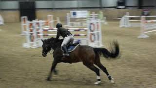 David Coombs - Freddie 55 - Onley Equestrian Center