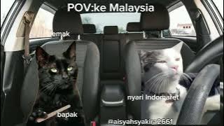 POV:ke malaysia kucing #fyp#meme#viral