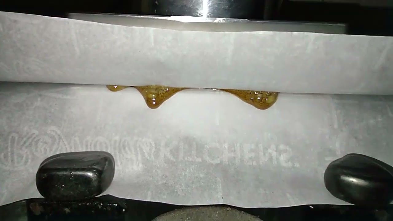 #mendodope