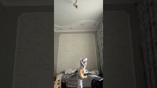 🤭ТЫ ЧТО К НАМ В ГОСТИ ПРИШЁЛ ?