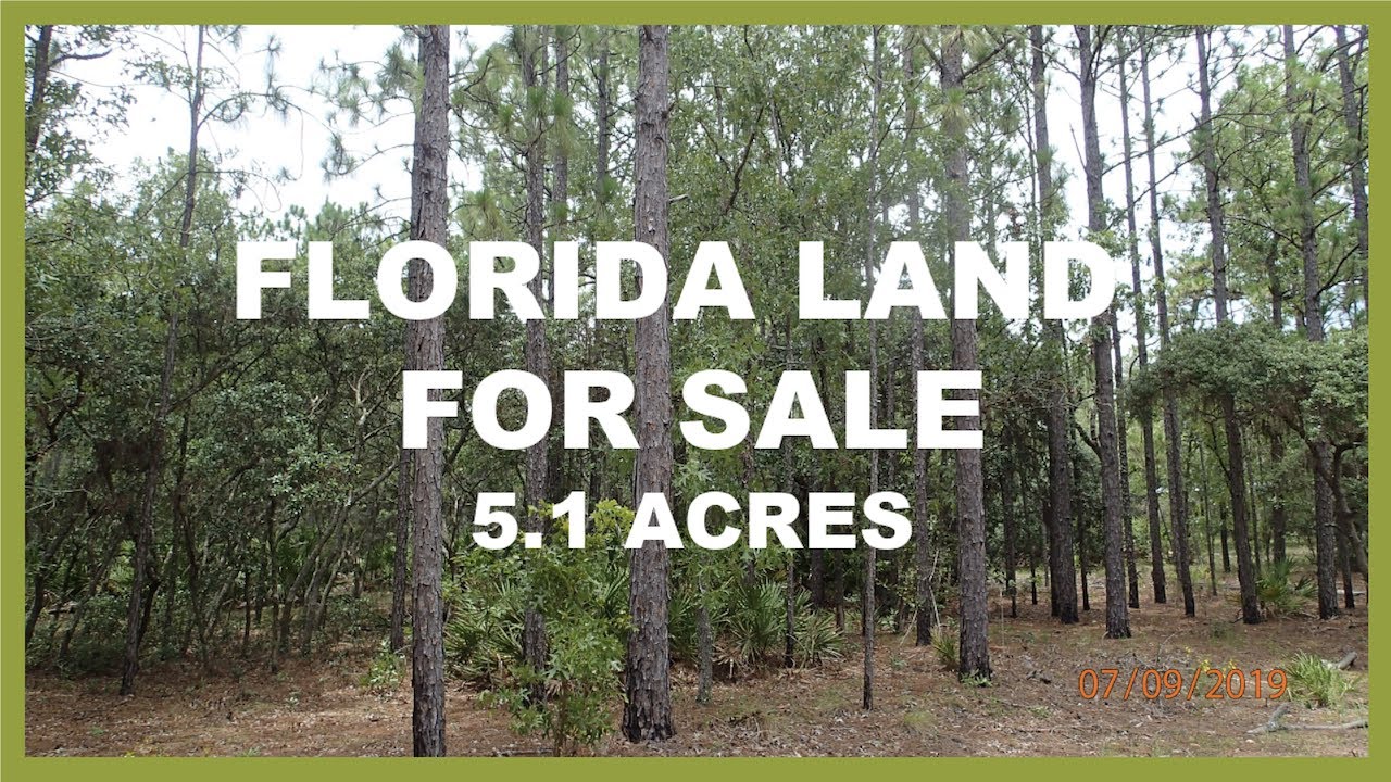FLORIDA LAND CITRUS COUNTY 5.10 ACRES (SOLD) YouTube
