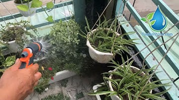 Bộ tưới cây cầm tay đa năng dùng nước máy - Tưới phun sương, tưới cây, xịt rửa có thể điều chỉnh