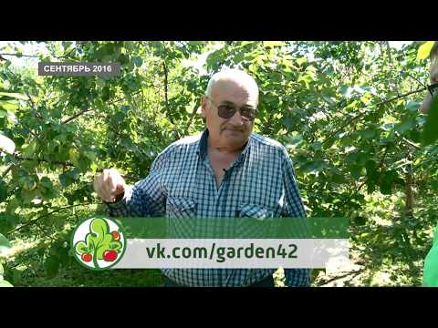 КОНСУЛЬТАНТ САДОВОДА 113