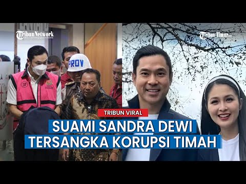 Peran Harvey Moeis Mengakomodir Tambang Ilegal di PT Timah 7 Tahun