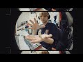 lofi hiphop beats - chill dogs #1 / kosei nishiyama