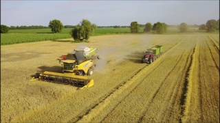 Daue&Partner / Getreideernte im Oderbruch