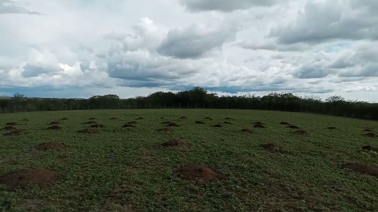 O calor é pra chuver