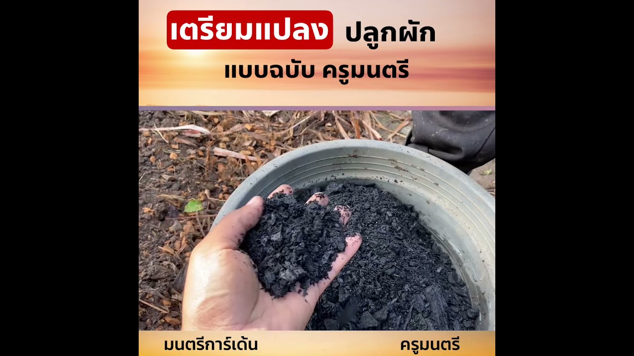 เตรียมแปลงปลูกผัก