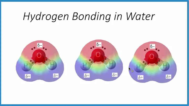 Hydrogen Bonding between Water Molecules: Explanation, Examples, & Properties