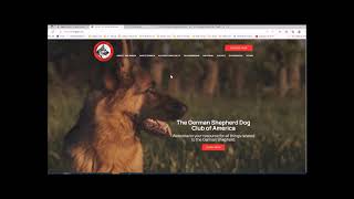 How to get Started in #Schutzund/#ipo /#IGP Websites that will help you. #germanshepherd