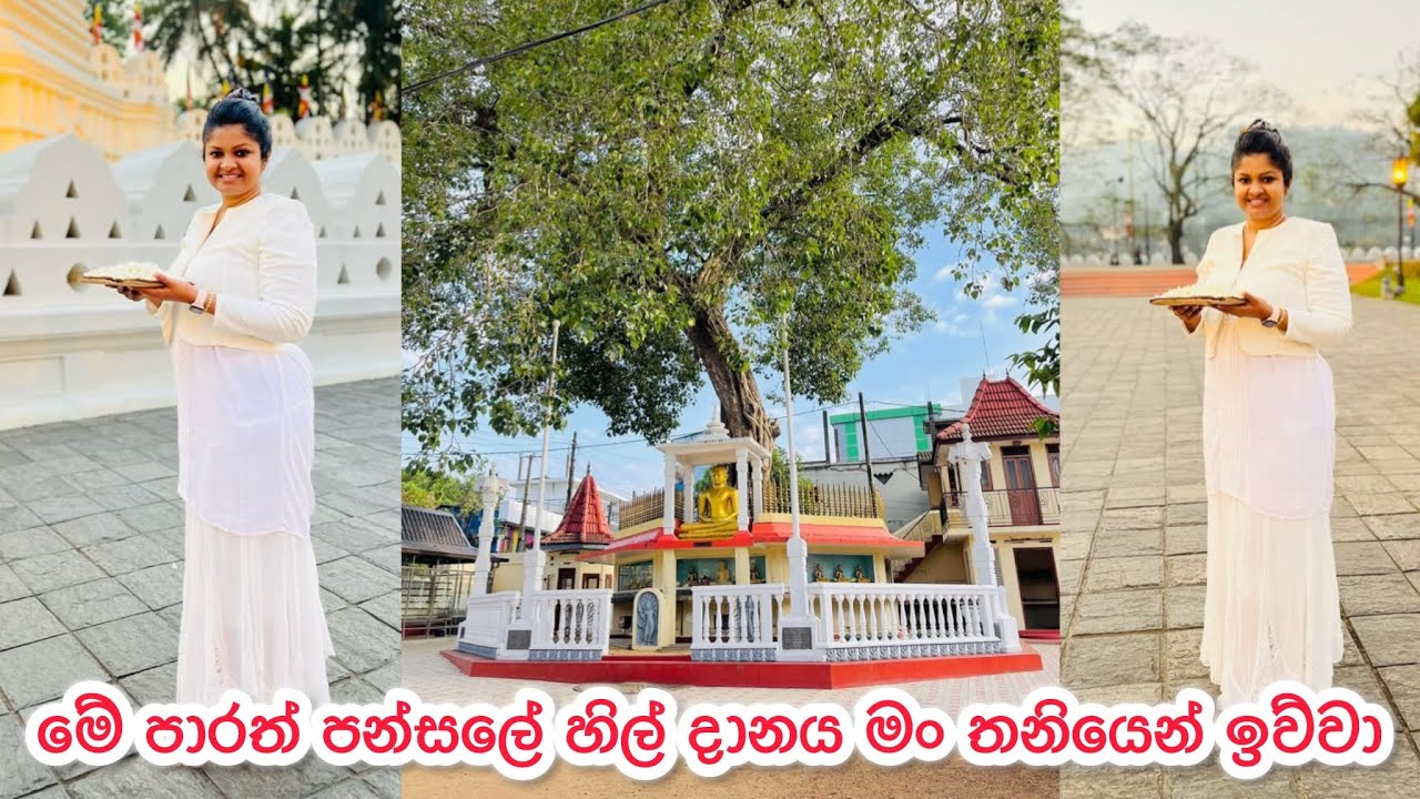 පන්සලේ හිල් දානෙට මොනාද මේ පාර මං හැදුවේ | පන්සලේ හිල් දානය මේ පාරත් මං තනියෙන් ම ඉව්වා | Bhagi