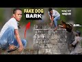 Fake dog bark public prank  lakas nilang tumakbo