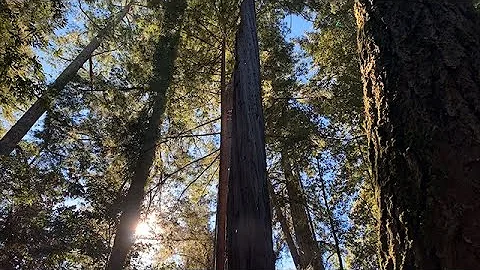 California State Parks Week