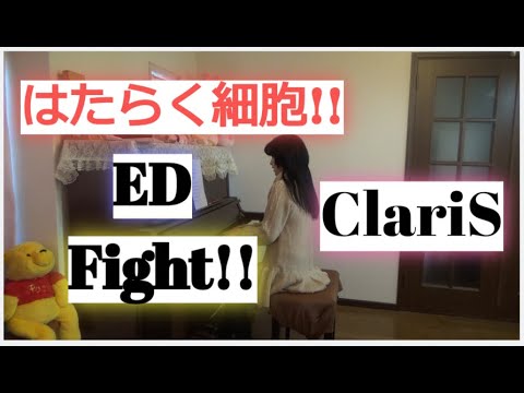 はたらく細胞 Ed Fight Claris Hataraku Saibou Ending Cells At Work 歌詞付き字幕 Youtube