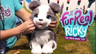 furreal ricky amazon