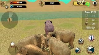 Wild Elephant Sim 3D Android Gameplay #6 screenshot 5