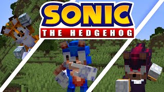Sonic Customizable Player Model | Showcase Sonic Skin Pack screenshot 4