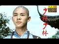 Ultraskilled shaolin disciple goes on a mission to avenge his parents death