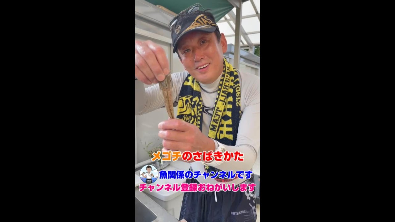 キス釣りの外道に釣れる活きたメゴチの究極のさばき方 天ぷらにしたらめっちゃ美味しい魚 Shorts Youtube キス釣りの外道に釣れる活きたメゴチの究極のさばき方 天ぷらにしたらめっちゃ美味しい魚 Shorts Youtube