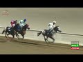 Race 5 15th Meeting Al Wattayah 04 02 2026 