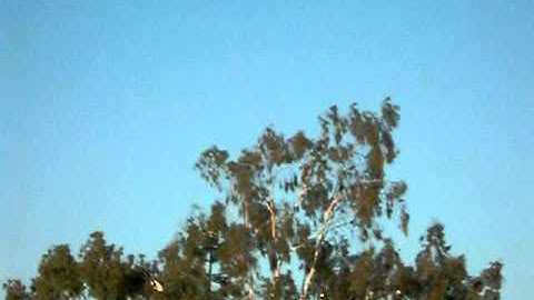 E-Razor 450 -  Poor transmitter in RTF-blind programing/broken dip switches = dangerous flight