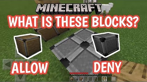 What is Allow and Deny Blocks in Minecraft