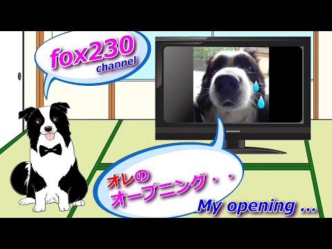 【コンピレーション・犬と猫のコラボ】猫の咀嚼音ASMR？とボーダーコリーのトホホ（体調不良前日）