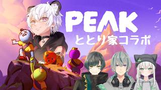 【PEAK】ととり家のみんなで山登ろうぜ！協力するとは限らない　with 神樹ガジ/天翔/葉月はるの　#vtuber #peak #gameplay