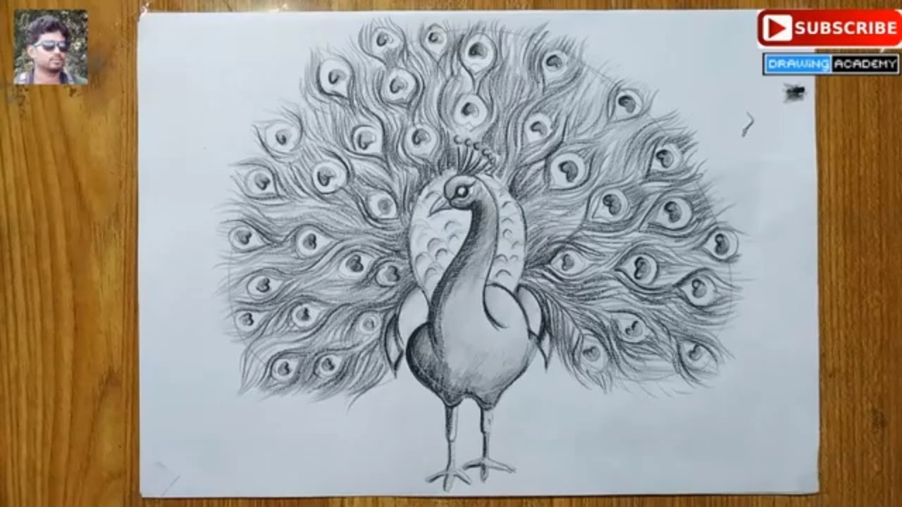 How To Draw A Peacock Step By Step In Easy Pencil Sketch Drawing For Kids Peacock Drawing