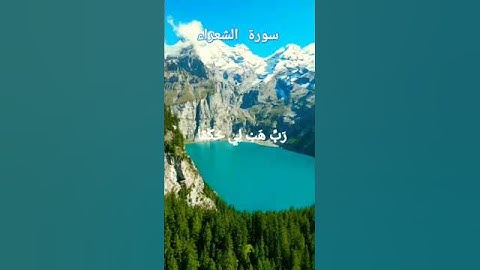 سورة الشعراء بصوت الشيخ ياسر الدوسري
