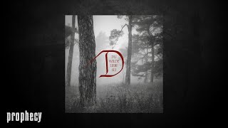 Dornenreich - Das Geheimnis des Quellkosters