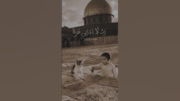 تلاوة جميلة و مؤثرة 🤍😍💙- القارئ بلال دربالي